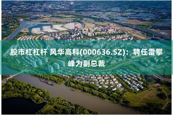 股市杠杠杆 风华高科(000636.SZ):聘任雷攀峰为副总裁