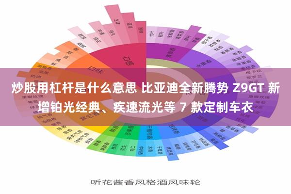 炒股用杠杆是什么意思 比亚迪全新腾势 Z9GT 新增铂光经典、疾速流光等 7 款定制车衣