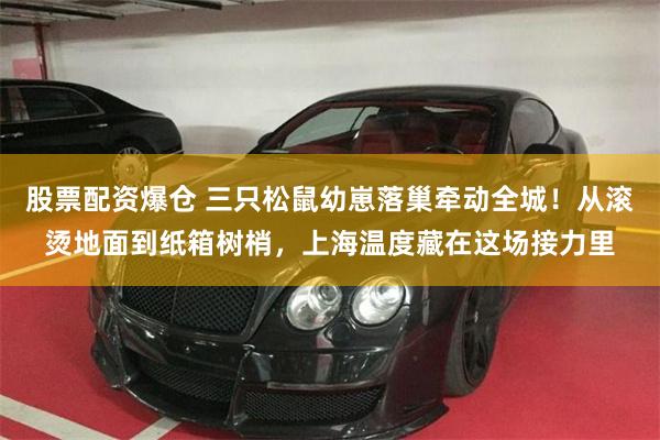 股票配资爆仓 三只松鼠幼崽落巢牵动全城！从滚烫地面到纸箱树梢，上海温度藏在这场接力里