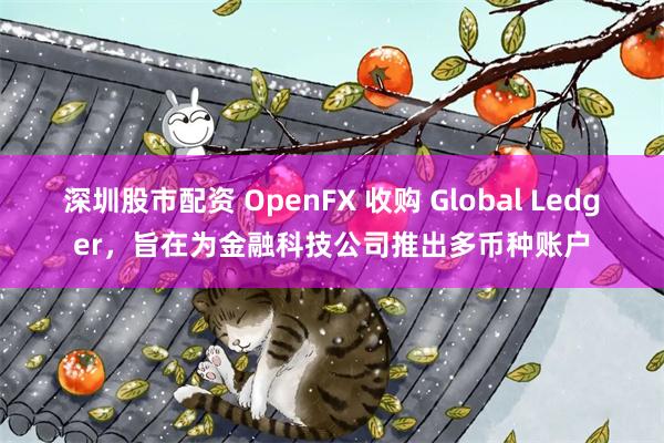 深圳股市配资 OpenFX 收购 Global Ledger，旨在为金融科技公司推出多币种账户