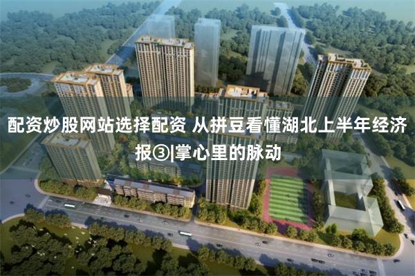 配资炒股网站选择配资 从拼豆看懂湖北上半年经济报③|掌心里的脉动