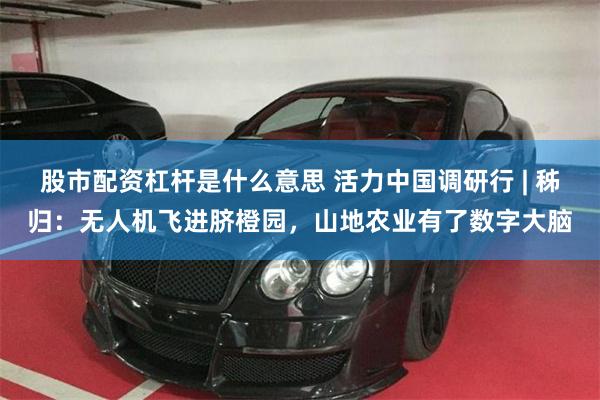 股市配资杠杆是什么意思 活力中国调研行 | 秭归：无人机飞进脐橙园，山地农业有了数字大脑