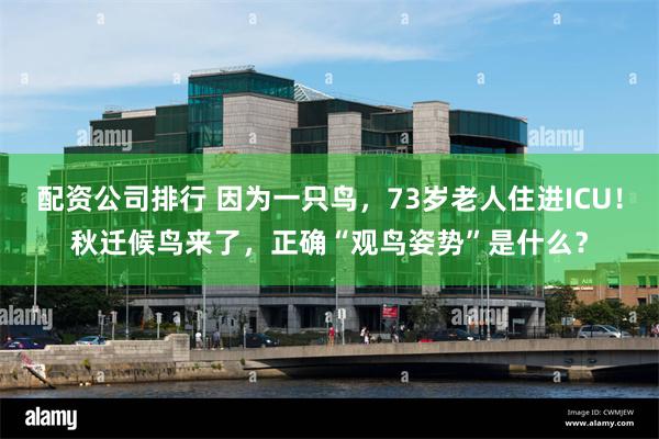 配资公司排行 因为一只鸟，73岁老人住进ICU！秋迁候鸟来了，正确“观鸟姿势”是什么？