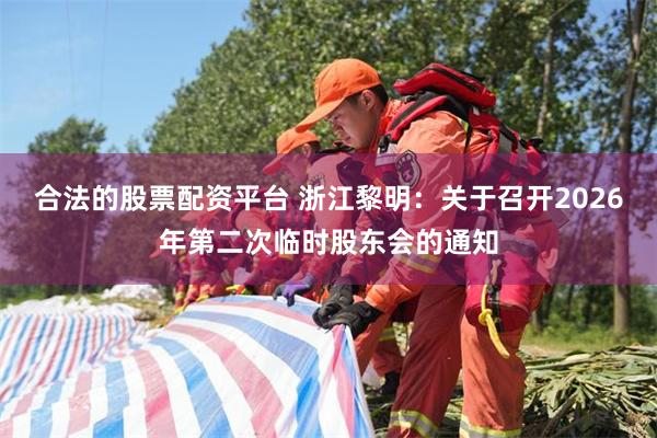 合法的股票配资平台 浙江黎明：关于召开2026年第二次临时股东会的通知