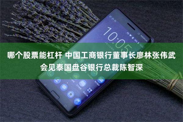 哪个股票能杠杆 中国工商银行董事长廖林张伟武会见泰国盘谷银行总裁陈智深