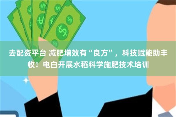 去配资平台 减肥增效有“良方”，科技赋能助丰收！电白开展水稻科学施肥技术培训