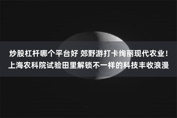 炒股杠杆哪个平台好 郊野游打卡绚丽现代农业！上海农科院试验田里解锁不一样的科技丰收浪漫