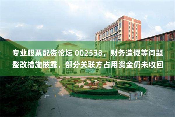 专业股票配资论坛 002538，财务造假等问题整改措施披露，部分关联方占用资金仍未收回