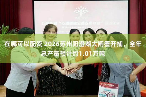 在哪可以配资 2026苏州阳澄湖大闸蟹开捕，全年总产量预计约1.01万吨