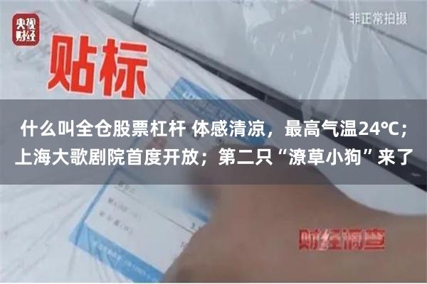 什么叫全仓股票杠杆 体感清凉，最高气温24℃；上海大歌剧院首度开放；第二只“潦草小狗”来了