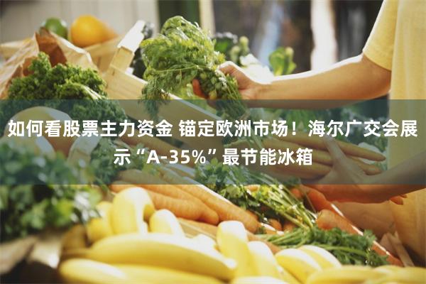 如何看股票主力资金 锚定欧洲市场！海尔广交会展示“A-35%”最节能冰箱