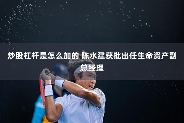 炒股杠杆是怎么加的 陈水建获批出任生命资产副总经理